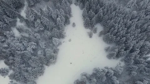 Aerial view of tree crowns in winter forest during snowfall. Stock-Footage 302577826