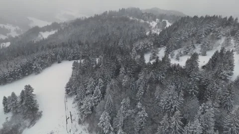 Aerial view of tree crowns in winter forest during heavy snowfall. Stock-Footage 302578112