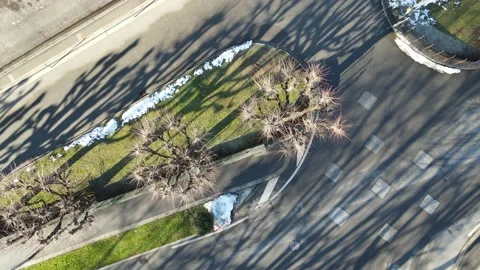 Aerial view of tree Stock Footage 146267488