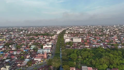 Aerial View of Tree-Lined Central Boulevard and Urban Density 스톡 동영상 347261716