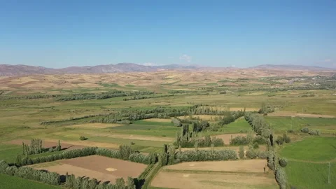 Aerial view of tree lined green fields and hills Stock Footage 293946482