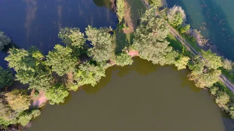 Aerial View of Tree-Lined Lake Shore with Calm Waters Stock Footage 295201371
