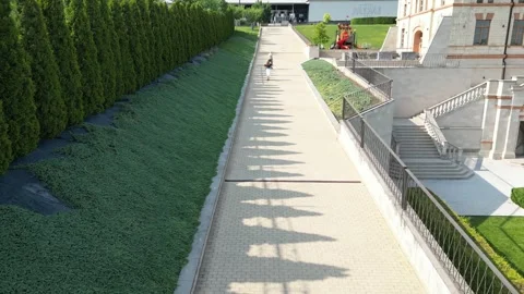 Aerial view of a tree-lined path with lush greenery on one side Stock Footage 340240465