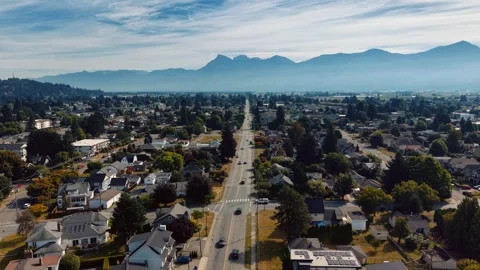 Aerial View of a Tree-Lined Residential Street in Chilliwack, BC Canada Stock-Footage 345845808
