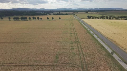 Aerial View of Tree-Lined Rural Road Through Farmland Near Pac, Slovakia Stock Footage 341362341