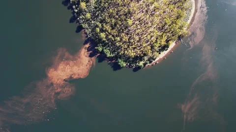 Aerial View of Tree-Lined Shoreline with Sediment Patterns in Calm Waters 動画素材 334137581