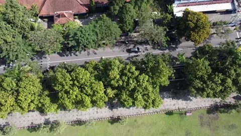 Aerial view of tree-lined street with car and buildings Video stock 279641669