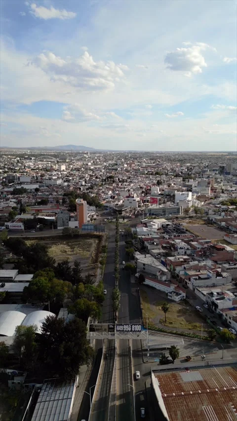 Aerial view of a tree lined street and roundabout in central Mexico 스톡 동영상 342089726