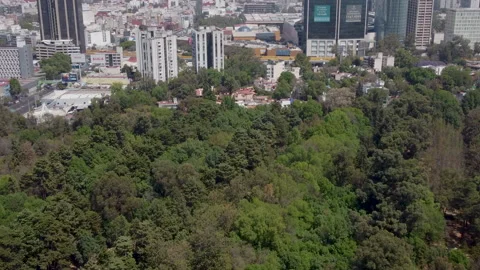 Aerial view of a tree nursery park in the middle of urban Mexico City Stock Footage 150394886