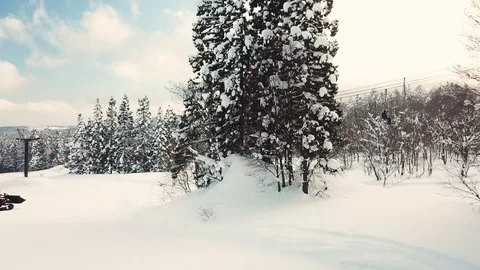 Aerial view of tree with snow among forest, Myoko, Niigata, Japan Stock Footage 107264915
