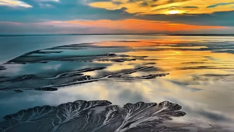 Aerial View of Tree-like Tidal Patterns Reflecting Sunset Qiantang River China Stockbeeldmateriaal 342602601