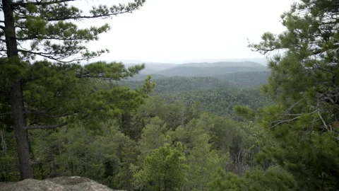 Aerial view of tree tops and mountain forest landscape. Misty forest and magical Vídeo Stock 173404803