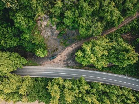 Aerial  view of tree tunnel in spring Stock Photos