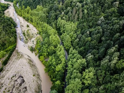 Aerial  view tree tunnel in spring Stock Photos