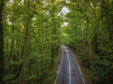 Aerial  view tree tunnel in spring Stock Photos