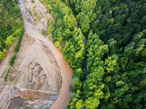 Aerial  view tree tunnel in spring 库存照片