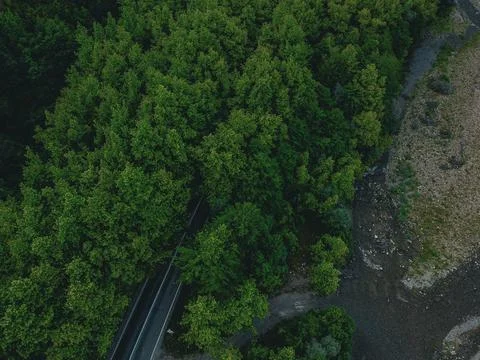 Aerial  view tree tunnel in spring Stock Photos