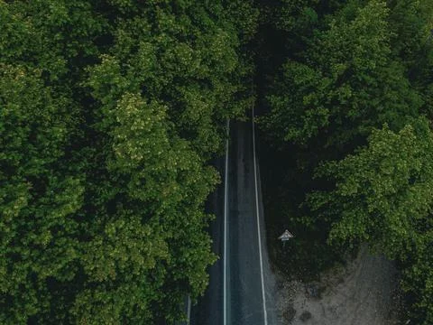 Aerial  view tree tunnel in spring Stock Photos