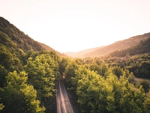 Aerial  view tree tunnel in spring 스톡 사진