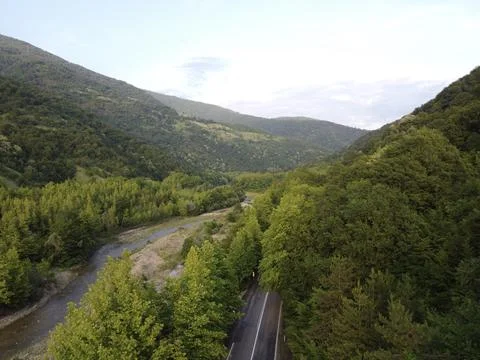 Aerial  view tree tunnel in spring Stock Photos