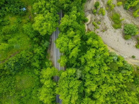 Aerial  view tree tunnel in spring Stock Photos