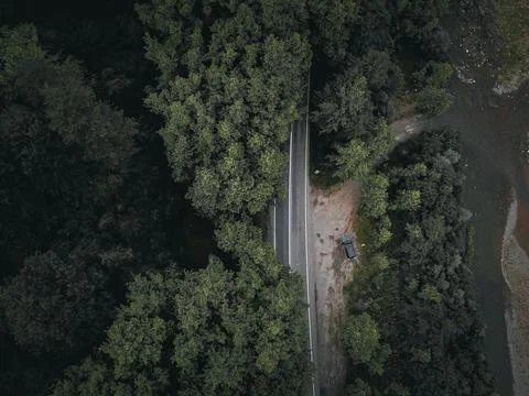 Aerial  view tree tunnel in spring Stock Photos