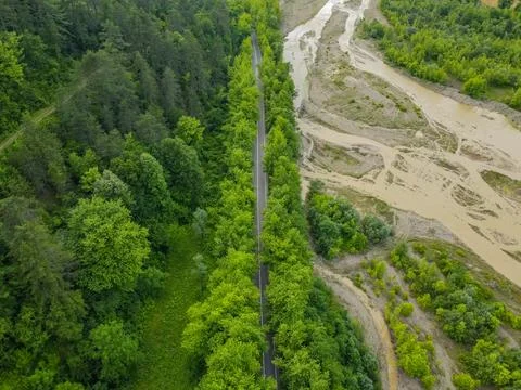 Aerial  view tree tunnel in spring Stock Photos