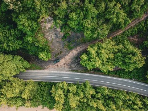 Aerial  view tree tunnel in spring Stock Photos