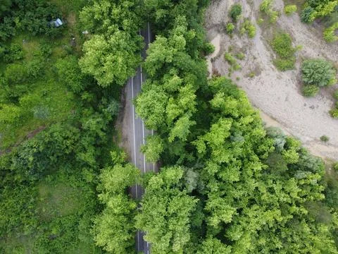 Aerial view of tree tunnel in spring Stock Photos