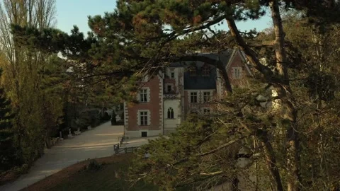 Aerial view of trees and Clos Lucé Castle Stock Footage 222995805