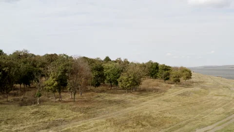 Aerial view of trees and landscape Stockbeeldmateriaal 165593231