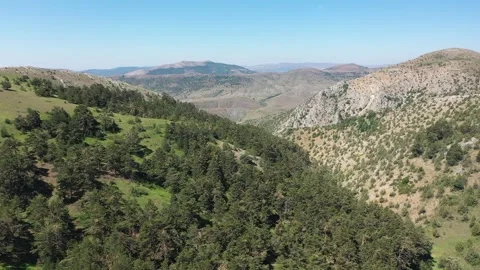 Aerial view of trees and mountains Stock Footage 294077413