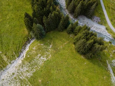 Aerial view on trees and paths used for hiking and mountain biking in the skiing Stock Photos