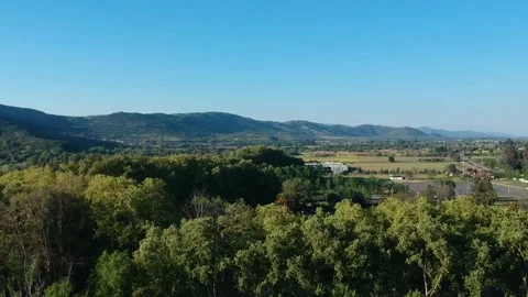Aerial view of trees in a city Stock Footage 166121371