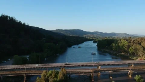 Aerial view of trees in a city Stock Footage 166121383