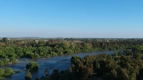 Aerial view of trees in a city Stock Footage 166121416