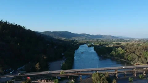 Aerial view of trees in a city Stock Footage 166121420