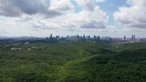 Aerial view of trees on a cloudy day. Istanbul Turkey. Stock Footage 251513666