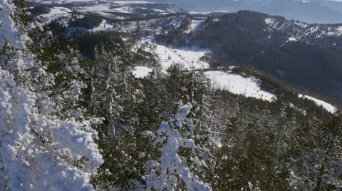Aerial view trees covered with snow at mountain 库存影片 58746343
