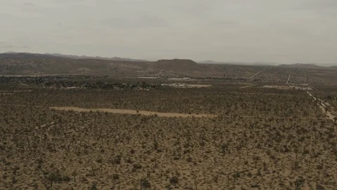 Aerial View of trees in the desert Stock Footage 95939576