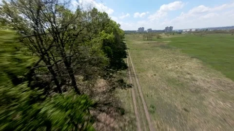 Aerial view with trees Stock Footage 157316607