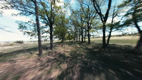Aerial view with trees Stock Footage 219080822