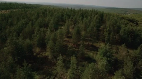 Aerial View of trees in forest, Grezes, Lot, France Stock-Footage 60455626
