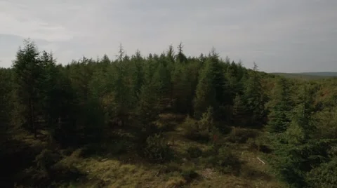 Aerial View of trees in forest, Grezes, Lot, France Stock Footage 60455634