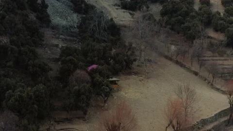 Aerial view of trees in the mountains Stock Footage 170573059