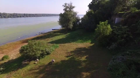 Aerial view of trees near the river. Stock Footage 59368245