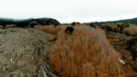Aerial view of trees over lava rocks and snow on mount Etna (Sicily) Stock Footage 107523338
