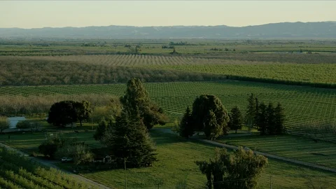 Aerial view trees vegetation patchwork crops fields America Stock-Footage 91546758
