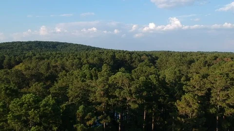 Aerial view of treetops in Broken Bow, Oklahoma Stock Footage
