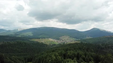 AERIAL view of the treetops of the pine forest towards the mountains 動画素材 136130589